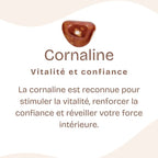 Bracelet "Ancrage Doux" en Cornaline Chip