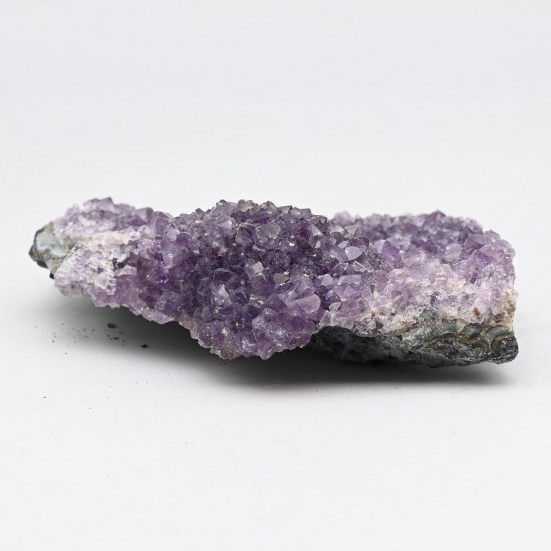 Géode d'Améthyste (240g) Réf : AME-P5