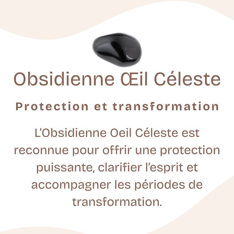 Pendentif Donut "Bouclier" en Obsidienne Oeil Céleste