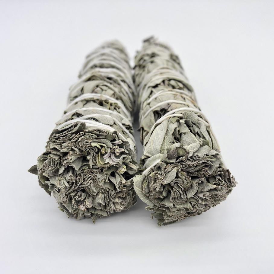 Sauge - lespierresdubienetre