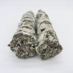 Sauge - lespierresdubienetre